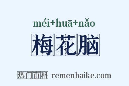 梅花脑是什么意思的图片